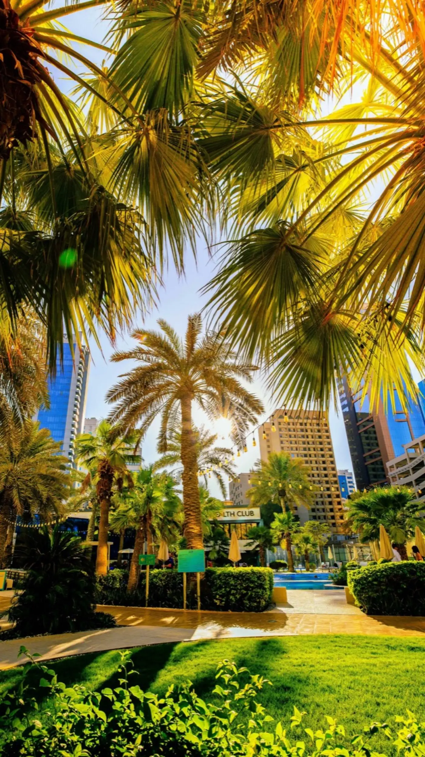 Bahrain landscape