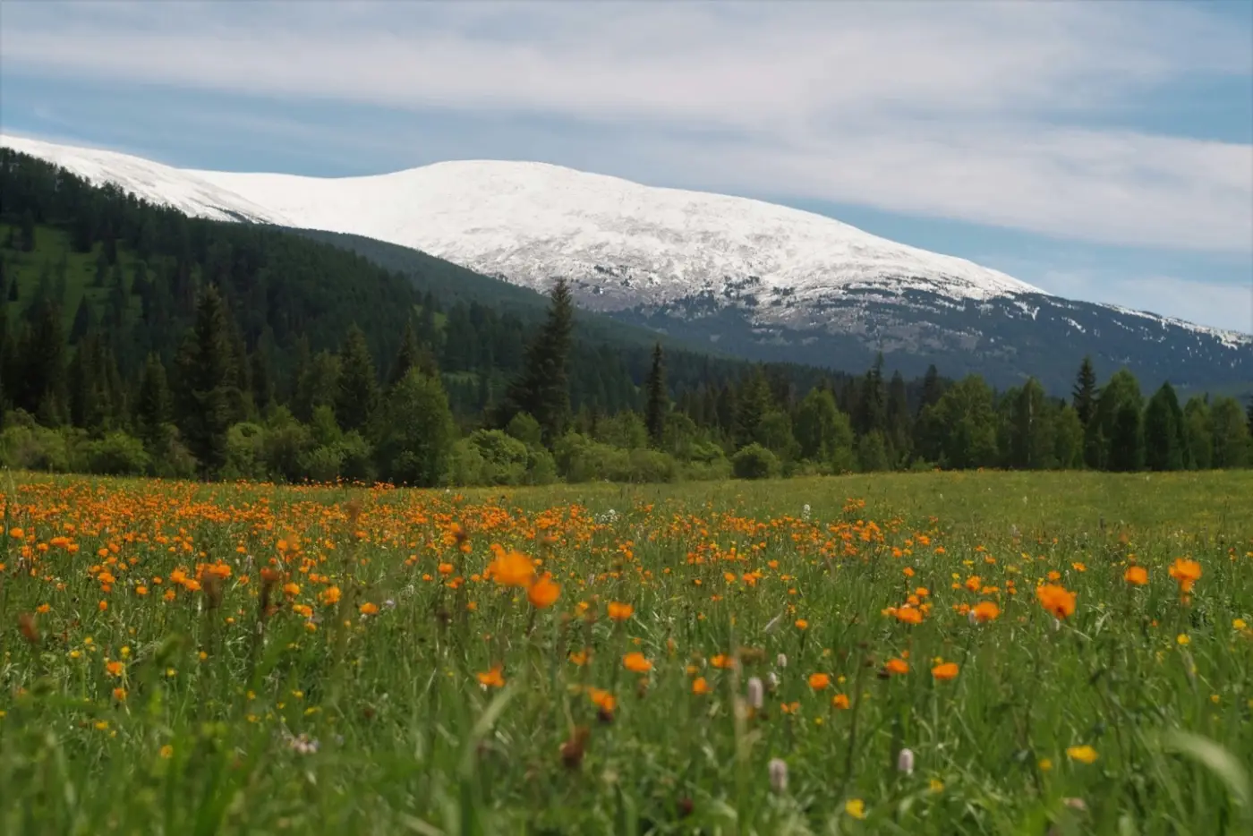 Russia: Altai