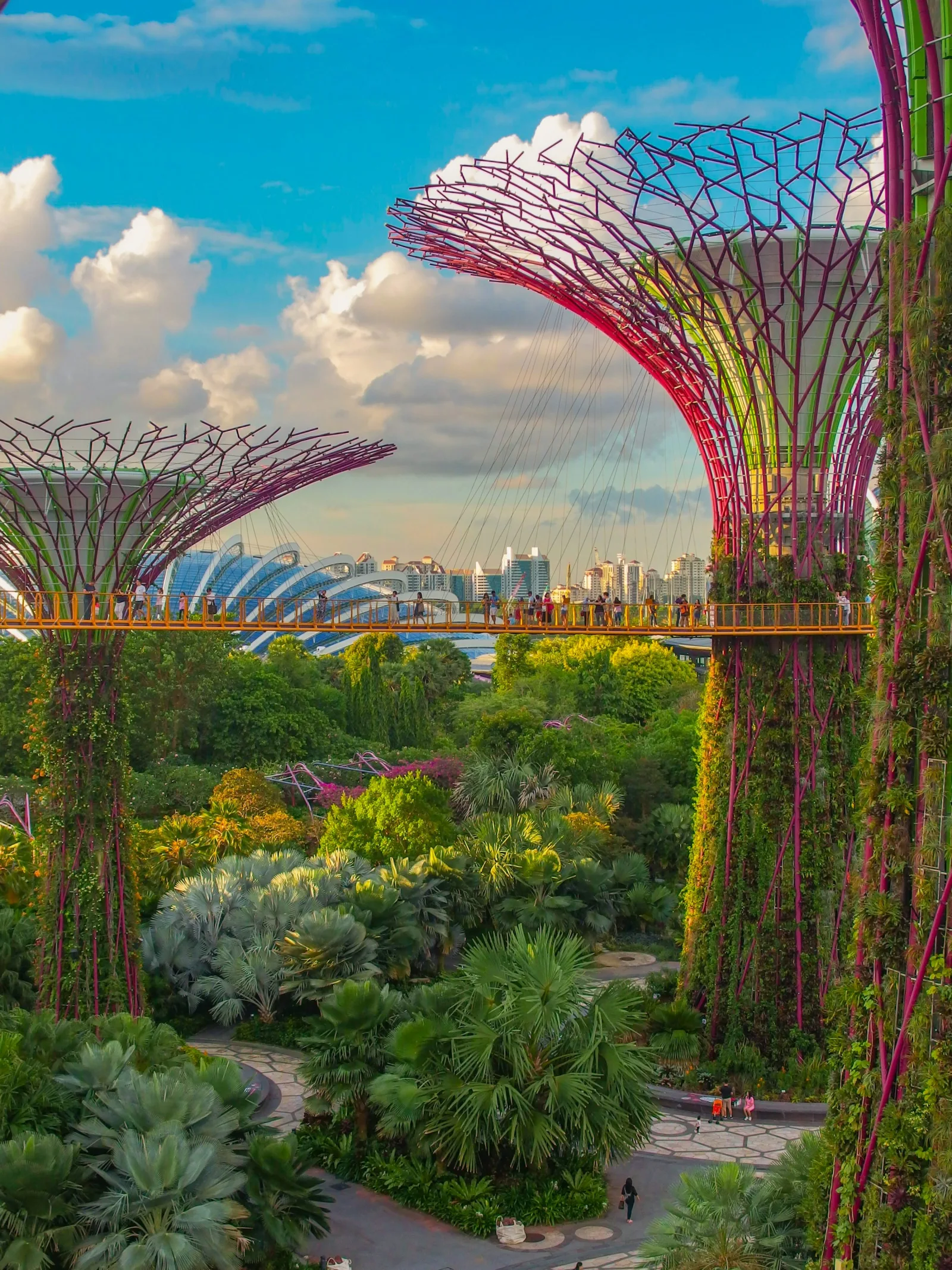 Singapore landscape