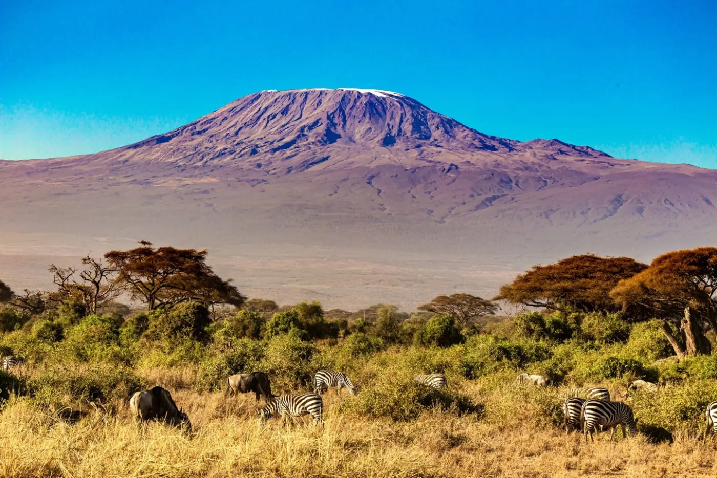 Tanzania: Kilimanjaro