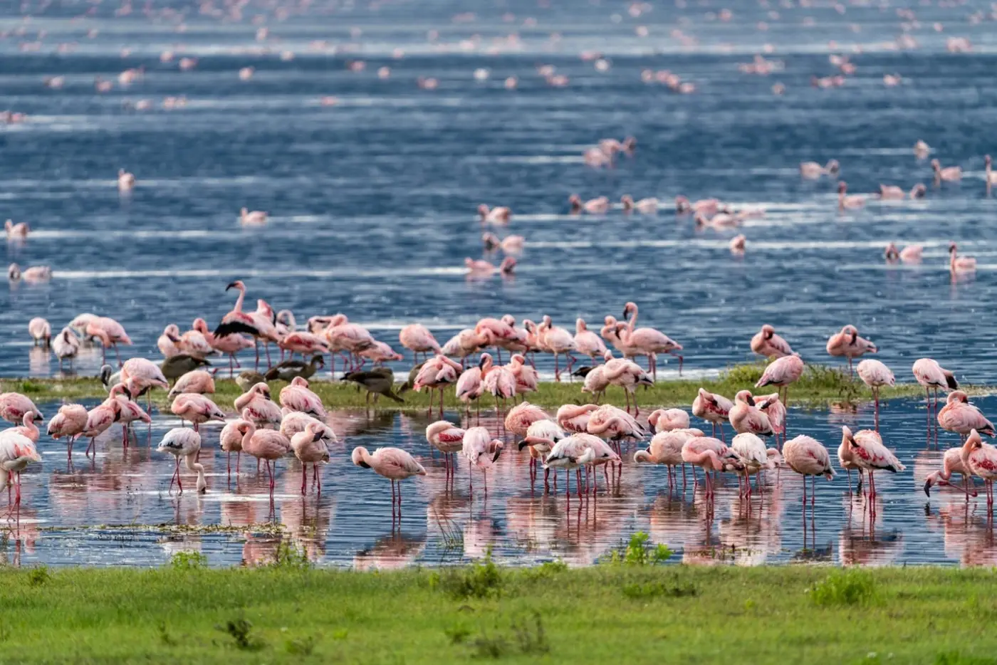 Tanzania: Ngorongoro