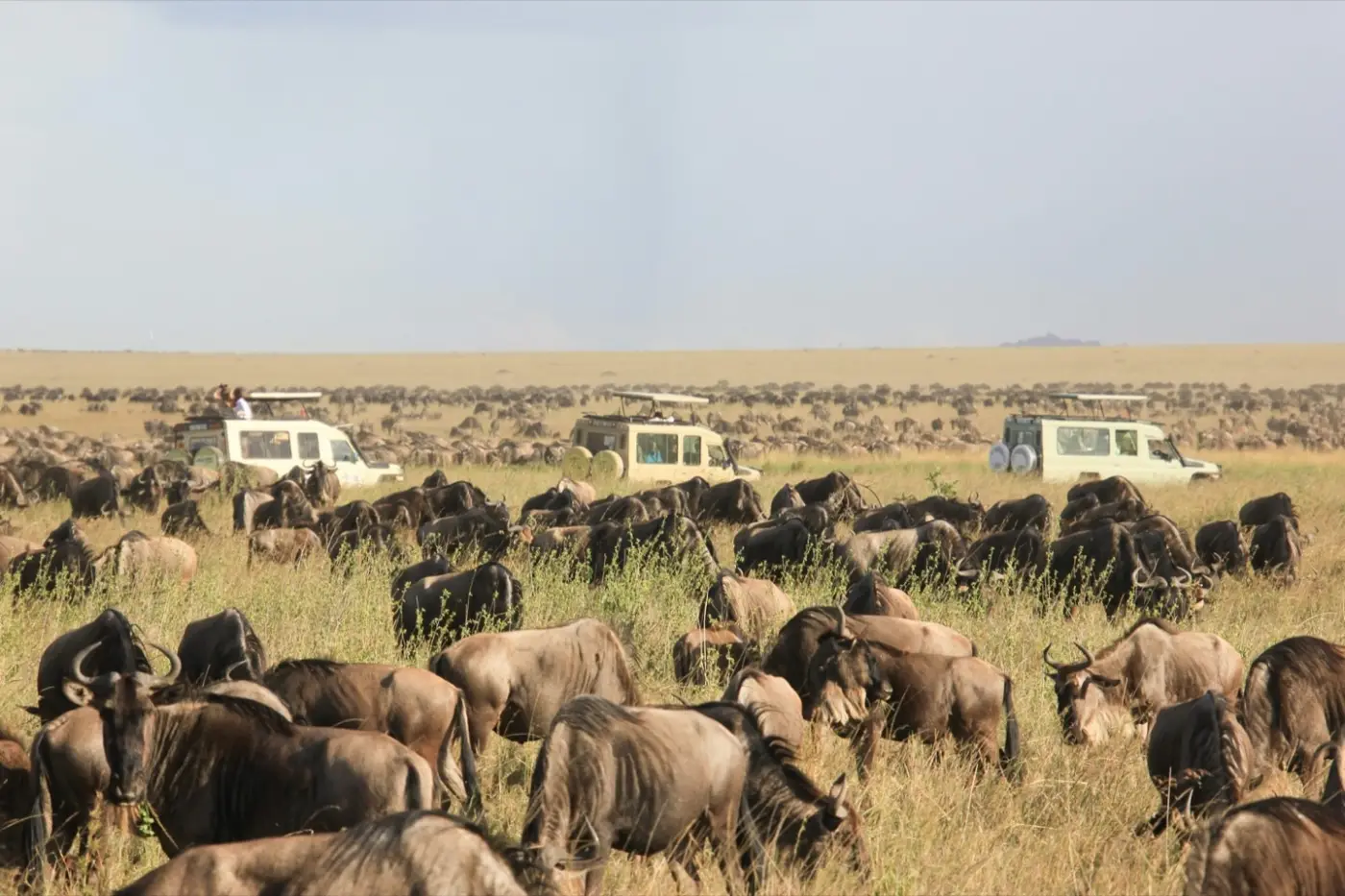 Tanzania: Serengeti