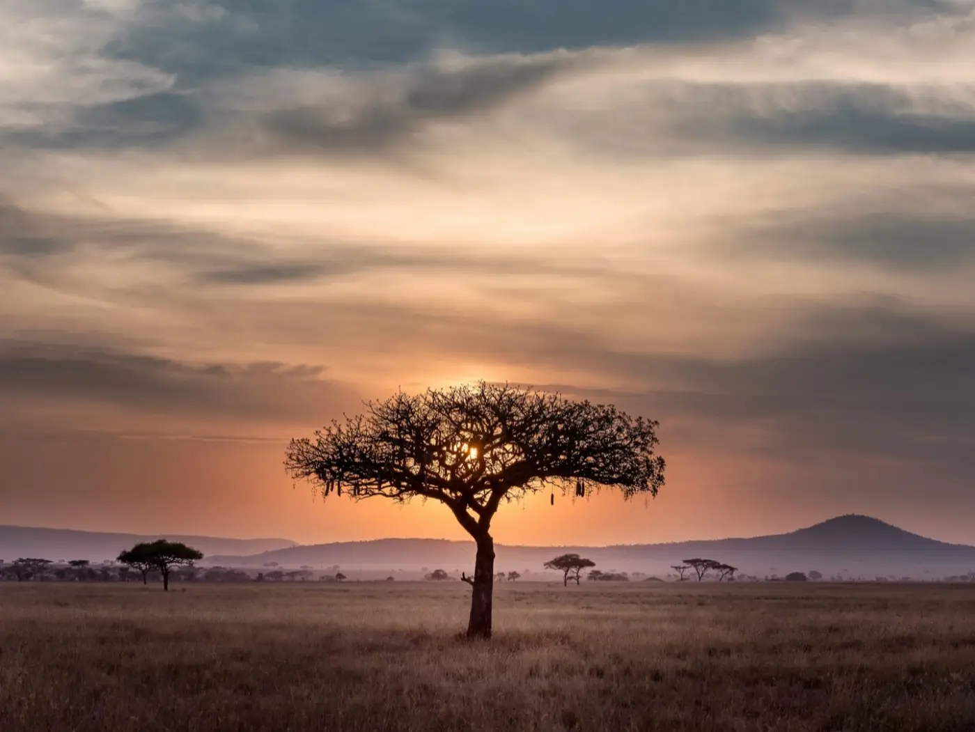 Tanzania: Serengeti