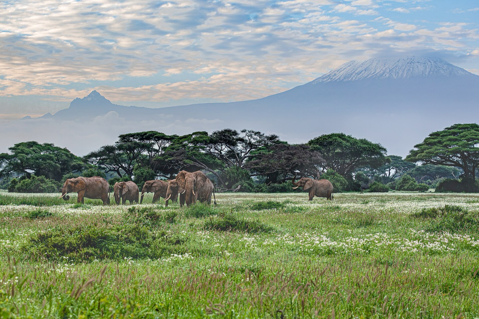 Kenya